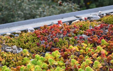 the cost of Burghill green roof installation