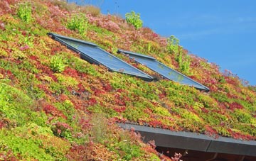 Burghill living roof systems