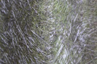 Burghill fibreglass roof work